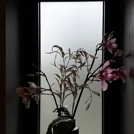 Oasis *